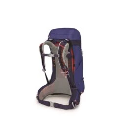 Osprey Sirrus 26 Backpack Blueberry -Mode Tassen Winkel image 2942