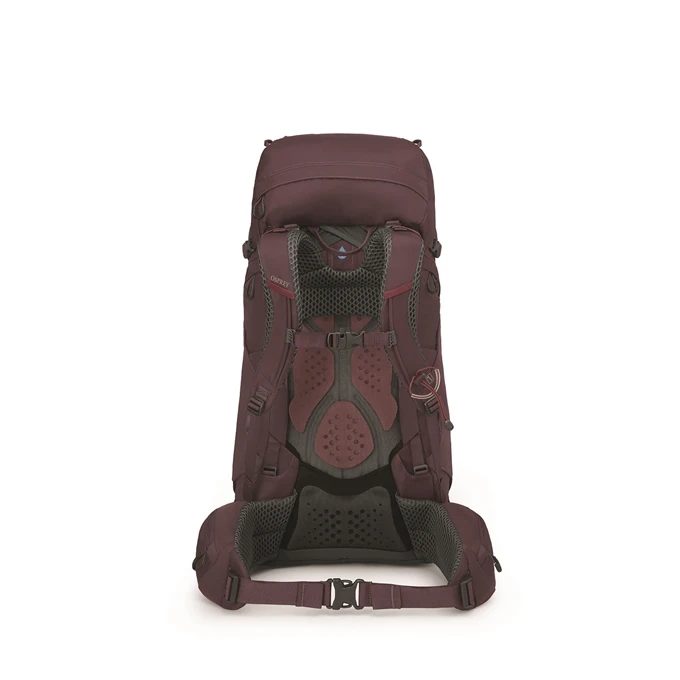 Osprey Kyte 48 WM/L Elderberry Purple 2 Osprey Kyte 48 WM/L Elderberry Purple - Afbeelding 2