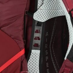 Osprey Aura AG LT 65 WXS/S Antidote Purple -Mode Tassen Winkel image 3328