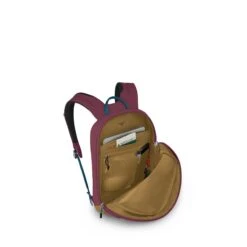 Osprey Arcane Small Day Allium Red/brindle Brown -Mode Tassen Winkel image 4387