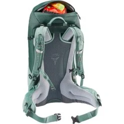 Deuter Futura 24 SL Backpack Forest-jade -Mode Tassen Winkel image 5038
